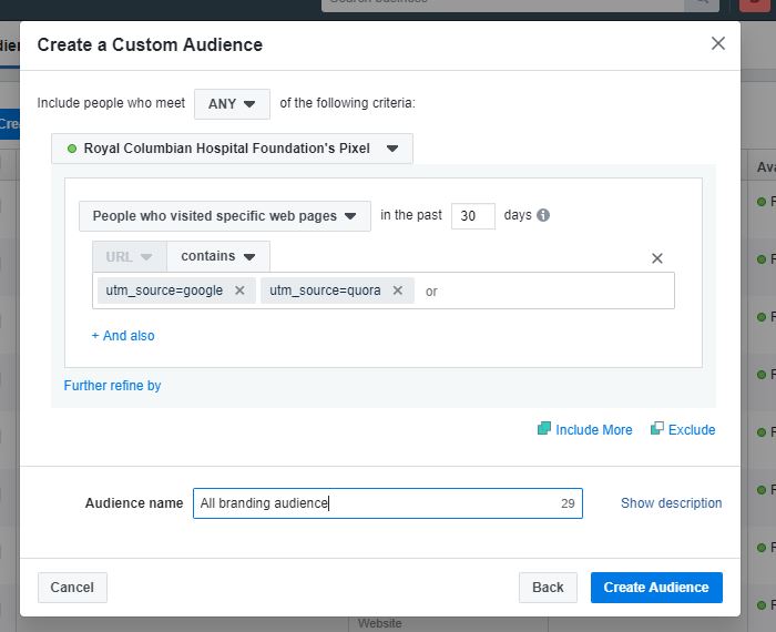 Creating a custom audience based on utm tags
